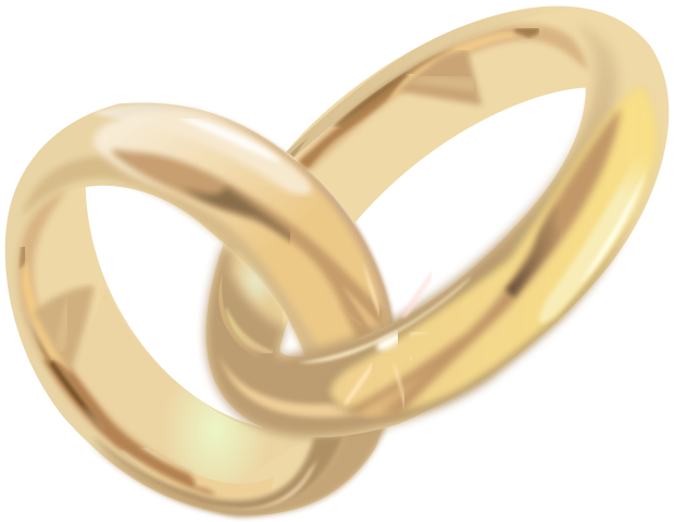 Intertwined deals wedding rings