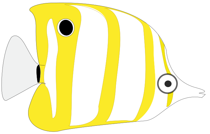 Yellow and White Striped Fish Clip Art Image - ClipSafari