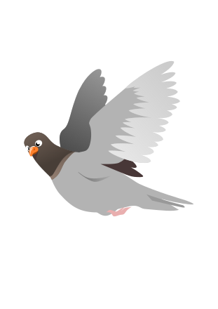 A Flying Pigeon Clip Art Image - ClipSafari