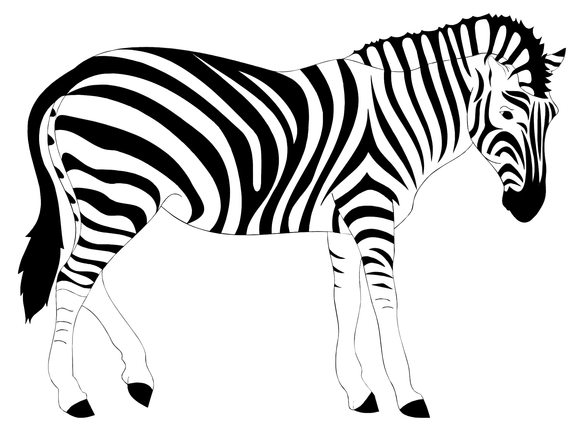 zebra clipart