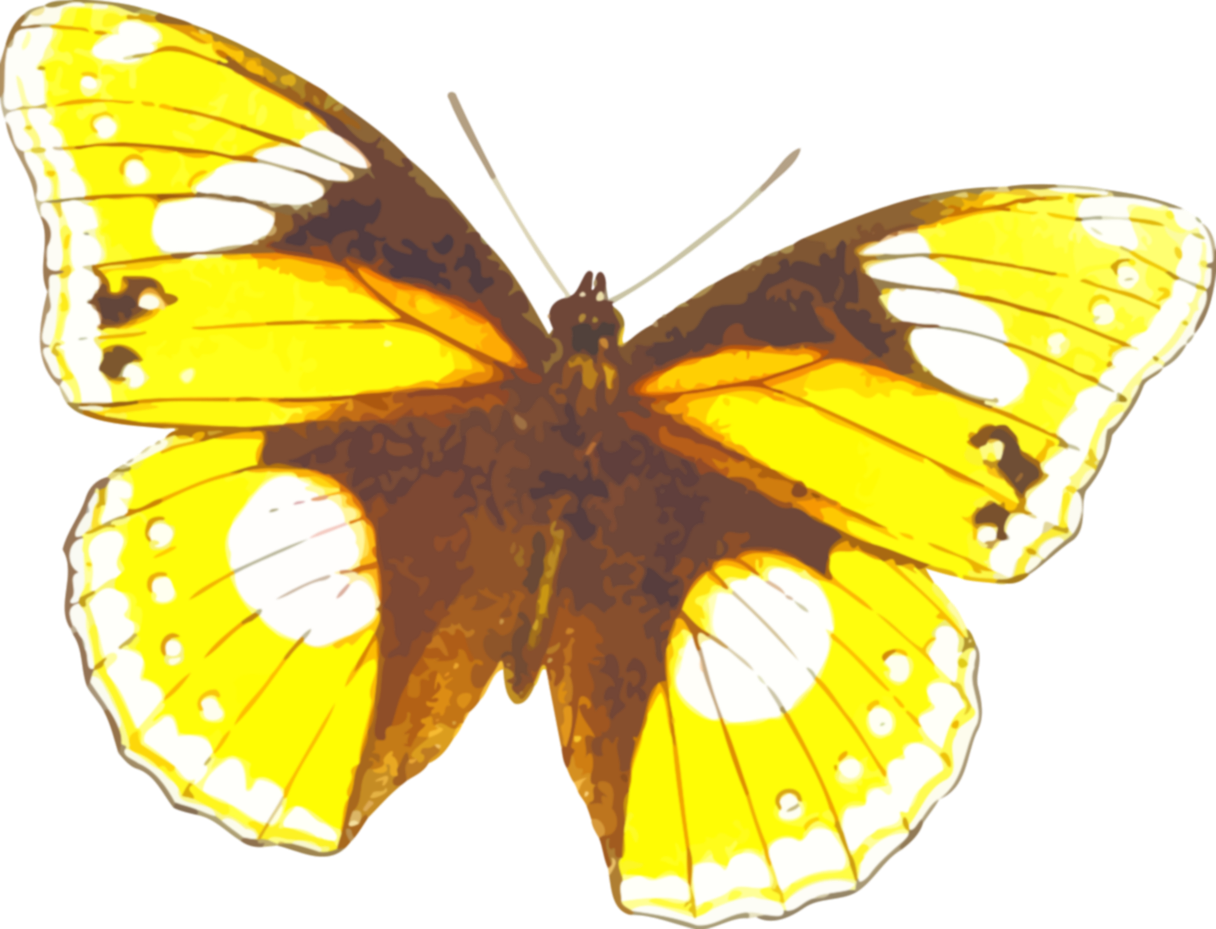 yellow-butterfly-clip-art-image-clipsafari